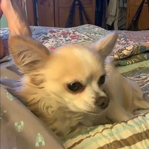 Meet your Posher, Beverly